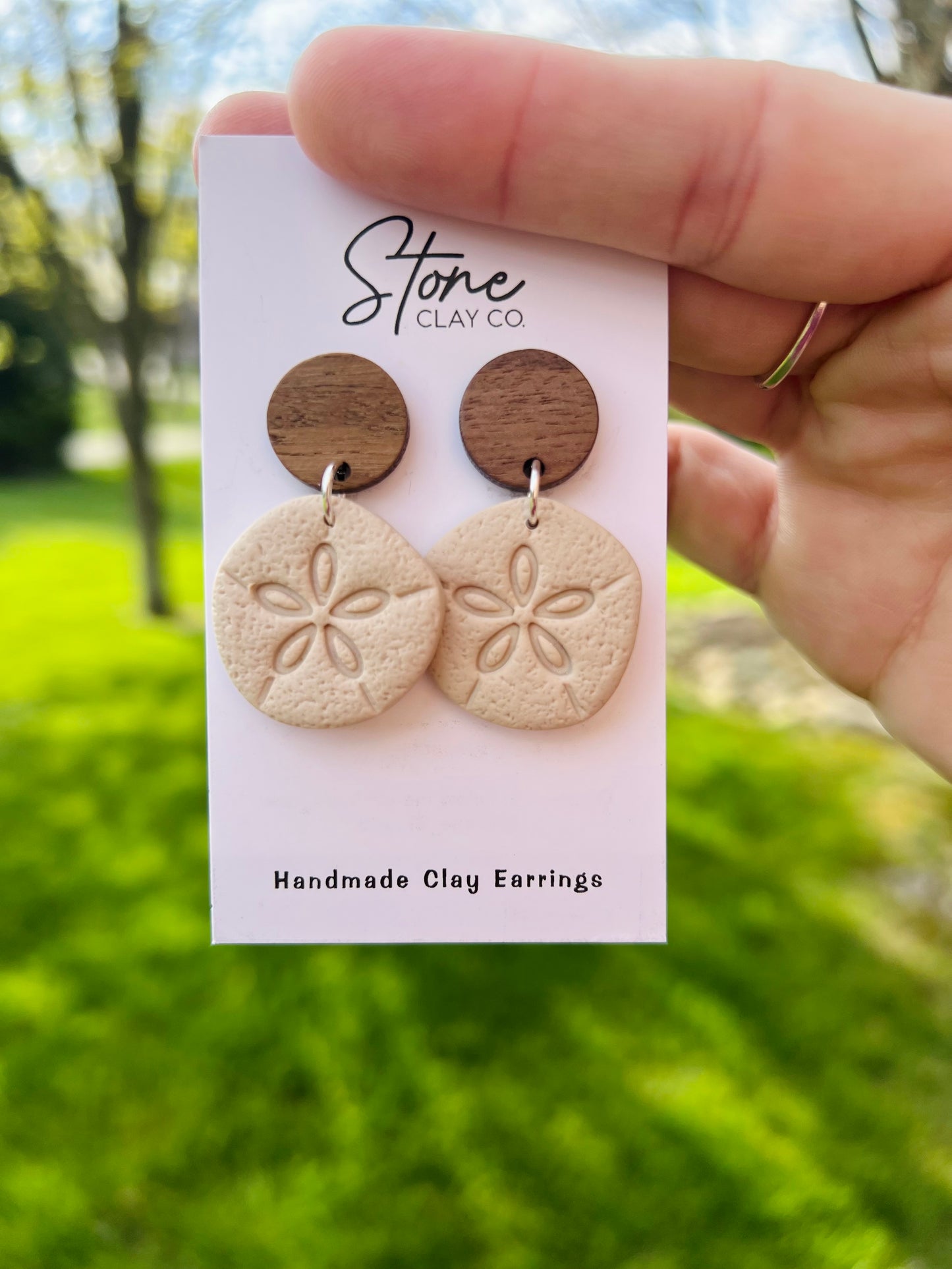 Sand Dollar Earrings