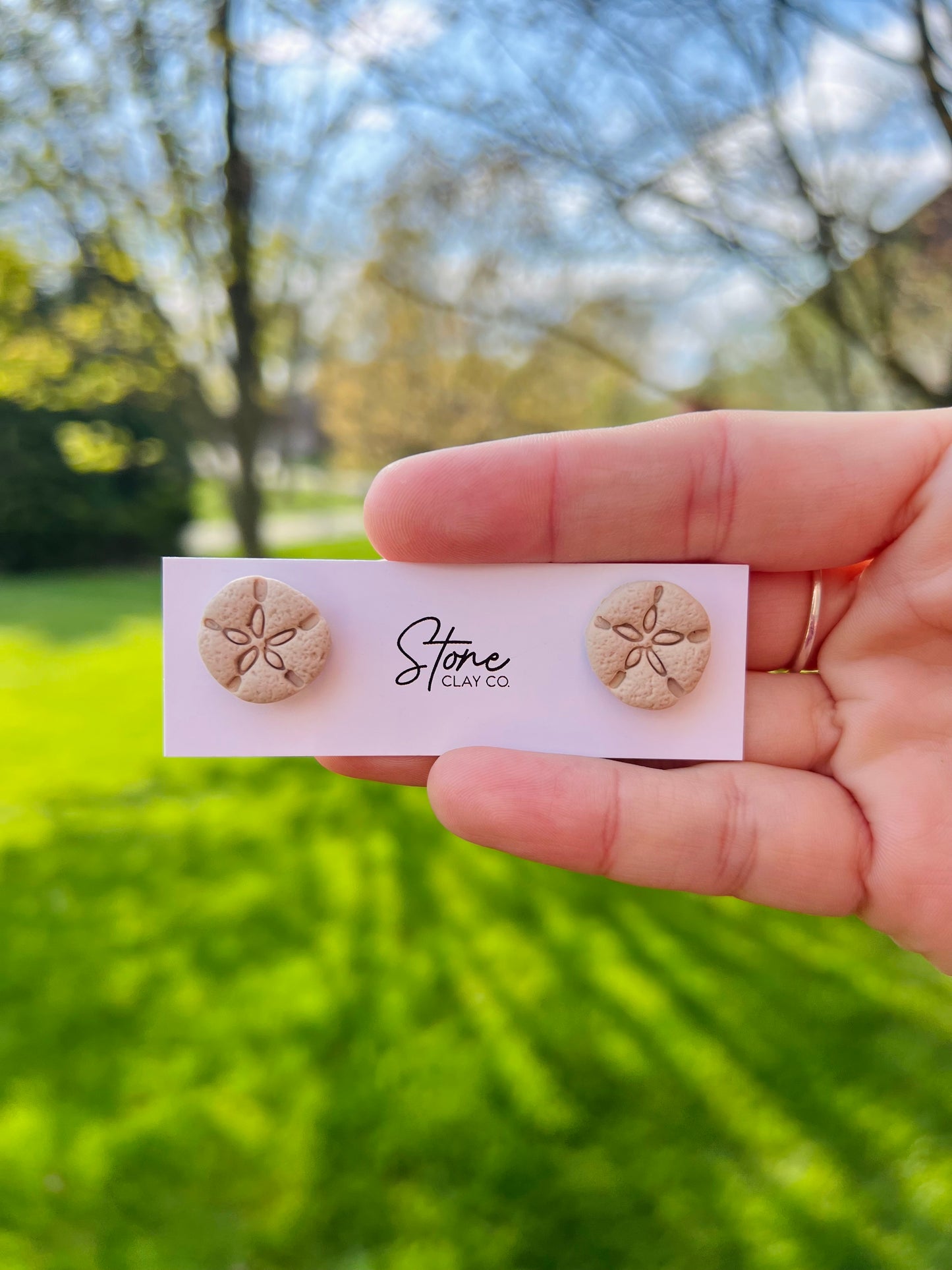 Sand Dollar Earrings